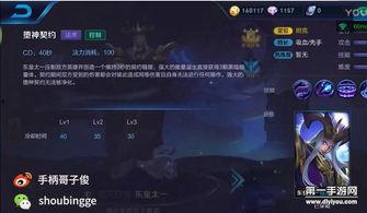 王者爆料君哥视频在线观看,揭秘最新游戏动态，带你领略王者世界精彩瞬间  第2张